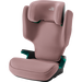 Britax DISCOVERY PLUS 2 Dusty Rose